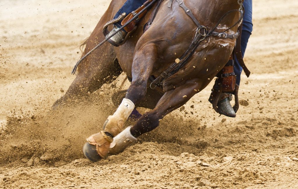 Horse turning in sand