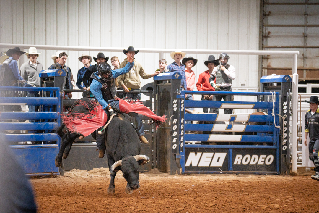 Bull rider holds onto bucking bull while other riders spectate behind cages